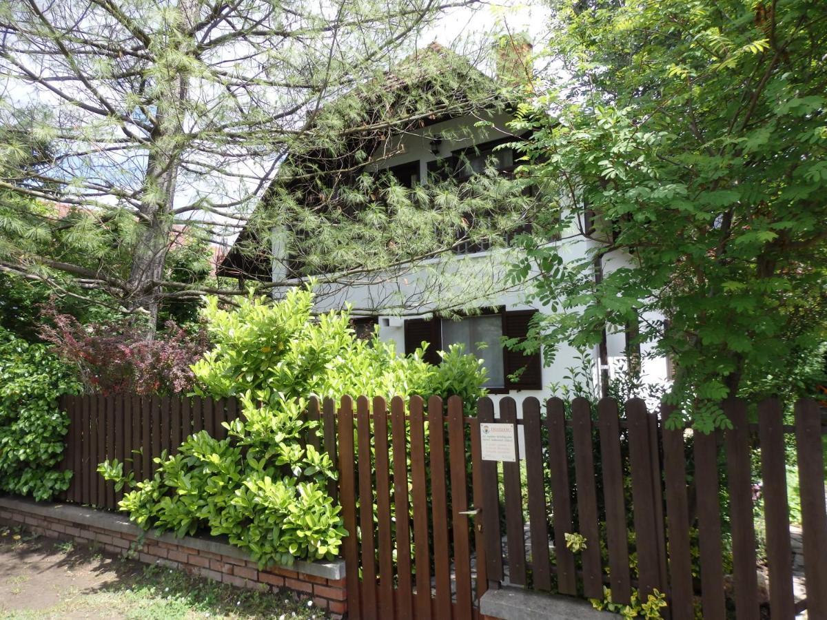 Orgona Vendeghaz Villa Velence Bagian luar foto